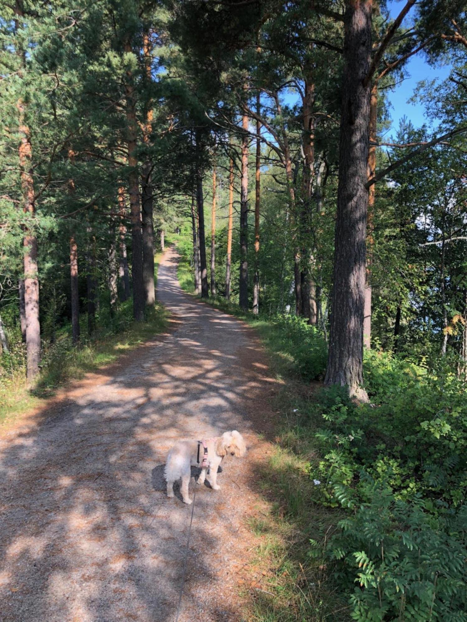 Rauhallinen Kaksio Urpolassa * Mikkeli
